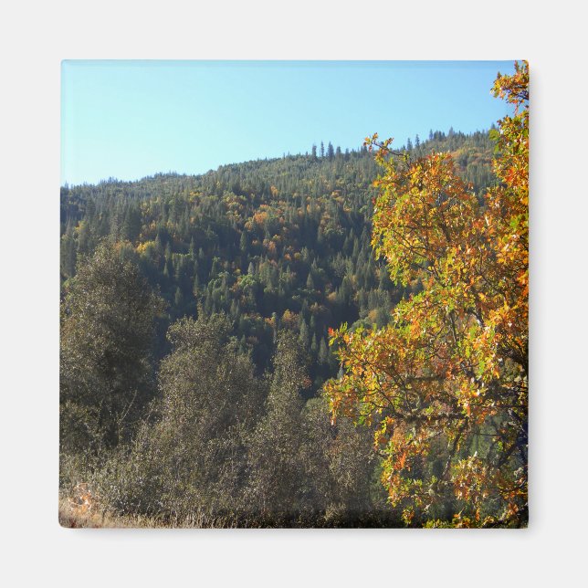 Schöne Herbstfarben...... Magnet (Vorne)