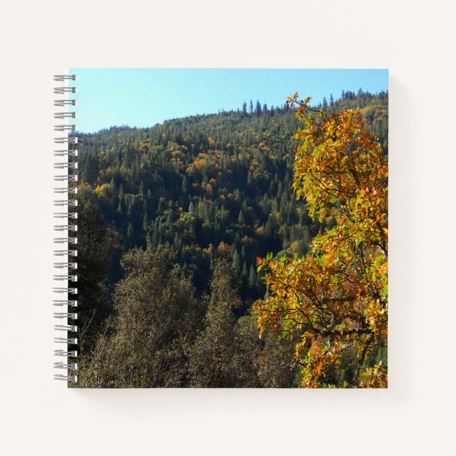 Schöne Herbstfarben...... Notizbuch (Vorderseite)
