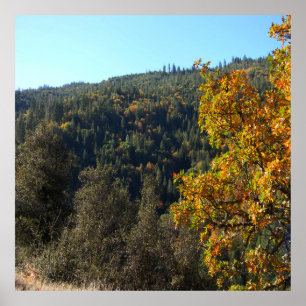 Schöne Herbstfarben...... Poster