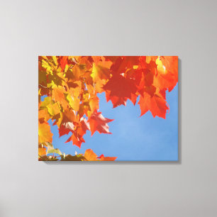 Schöne Herbstlaub Canvas druckt Naturkunst Leinwanddruck