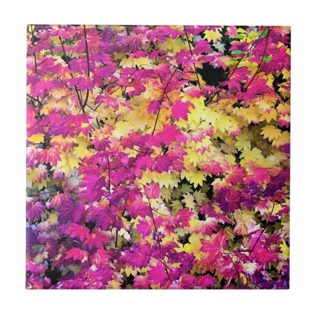 Schöne Herbstlaube Fliese (Vorderseite)
