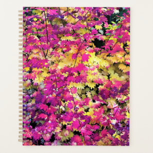 Schöne Herbstlaube Planer