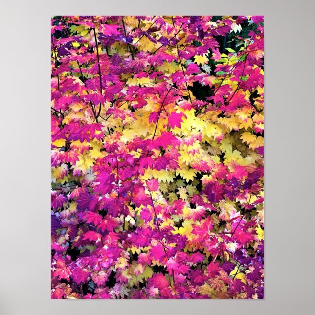 Schöne Herbstlaube Poster (Vorne)