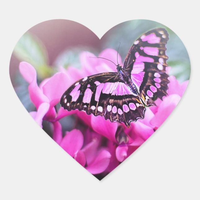 Schöne Herz-Aufkleber (Vorderseite)