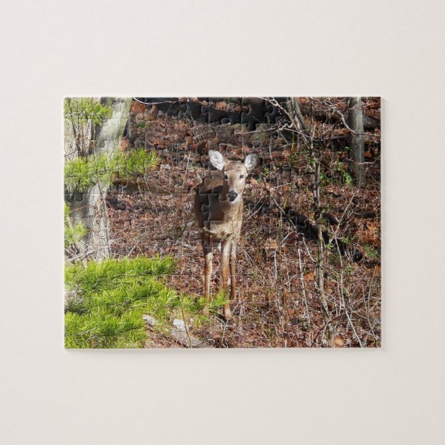 Schöne Hirsche in der Waldnaturfotografie (Horizontal)
