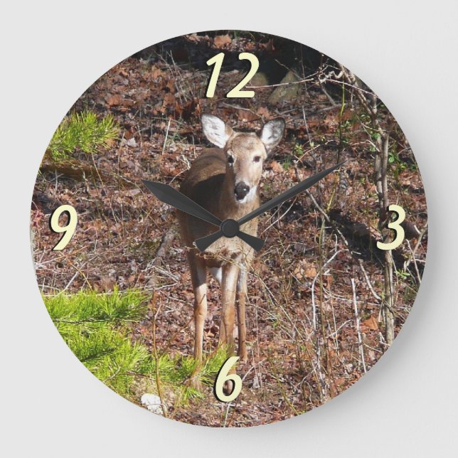 Schöne Hirsche in der Waldnaturfotografie Große Wanduhr (Vorderseite)