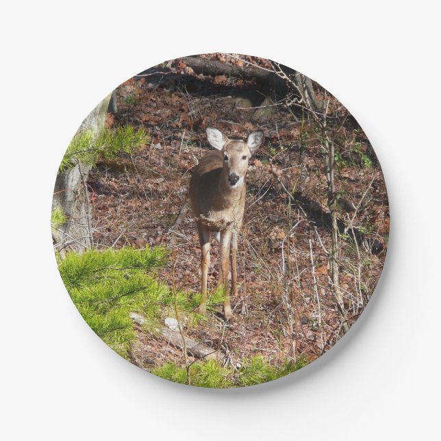 Schöne Hirsche in der Waldnaturfotografie Pappteller (Vorderseite)