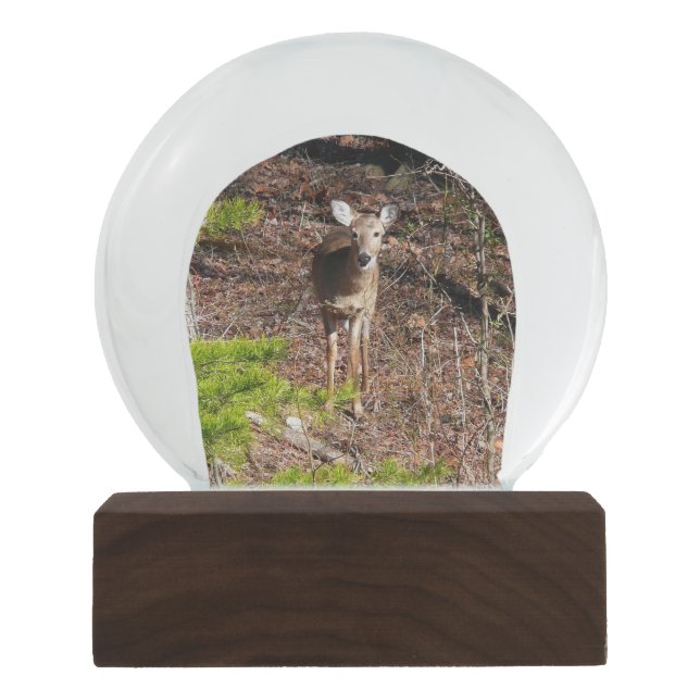 Schöne Hirsche in der Waldnaturfotografie Schneekugel (Vorderseite)