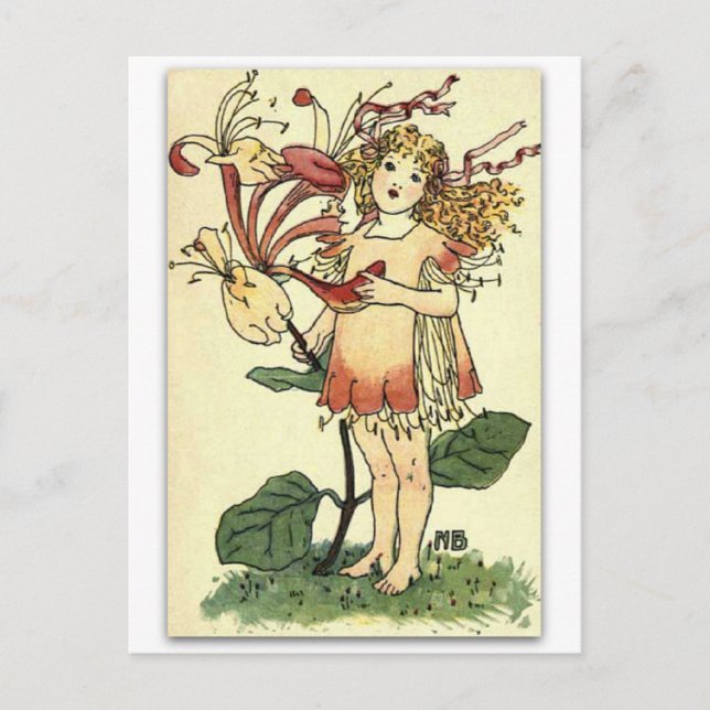 Schöne Honeysuckle von NELLIE BENSON Postkarte (Vorderseite)