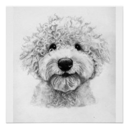 Schöne Hundskizze, Lagotto Poster