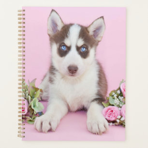 Schöne Husky-Welpe mit rosa Rosen Planer