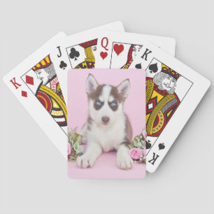 Schöne Husky-Welpe mit rosa Rosen Spielkarten