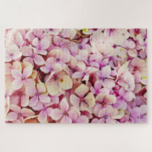 Schöne Hydrangea-Blume