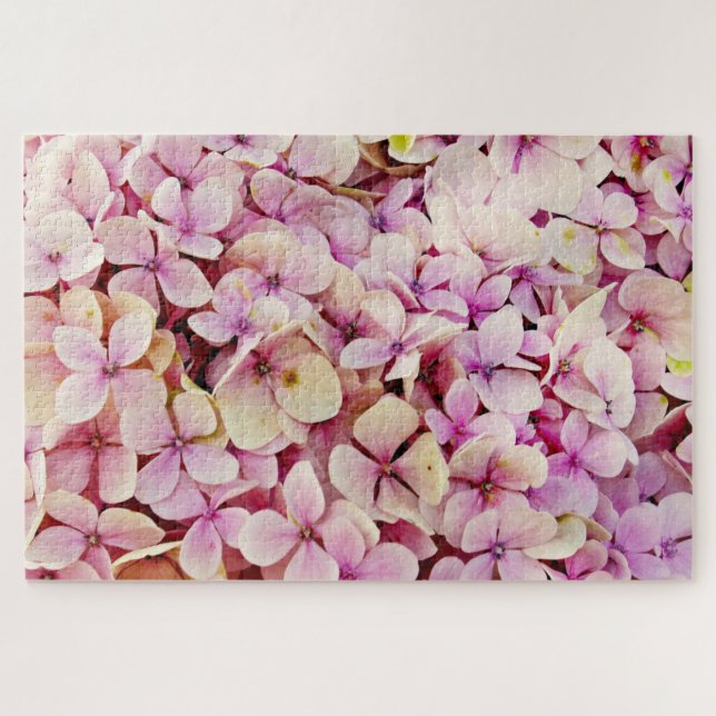 Schöne Hydrangea-Blume (Horizontal)