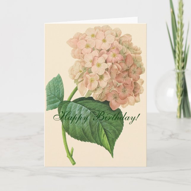 Schöne Hydrangea-Blume Geburtstag Karte (Vorderseite)