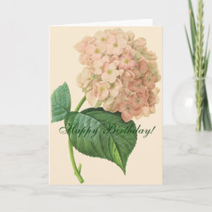 Schöne Hydrangea-Blume Geburtstag Karte