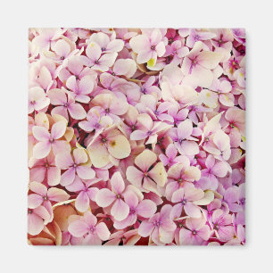 Schöne Hydrangea-Blume Magnet