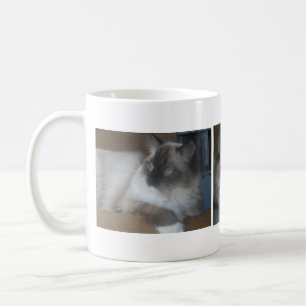 Schöne Hymalayan Ragdoll Katzen-Kaffee-Tasse Kaffeetasse