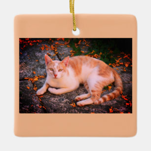 Schöne Ingwerkatze Keramikornament