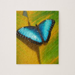 Schöne, iridescent Butterfly