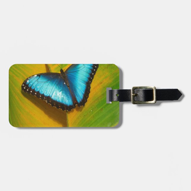 Schöne, iridescent Butterfly Gepäckanhänger (Vorderseite horizontal)