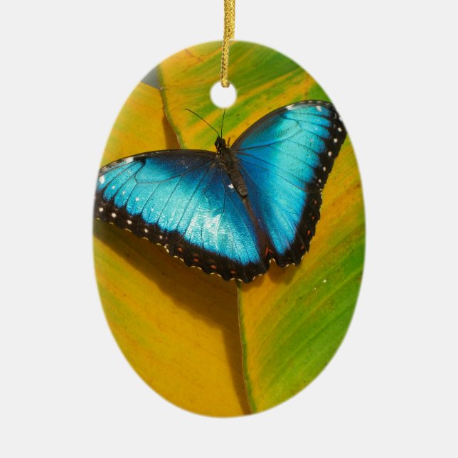 Schöne, iridescent Butterfly Keramik Ornament (Vorne)