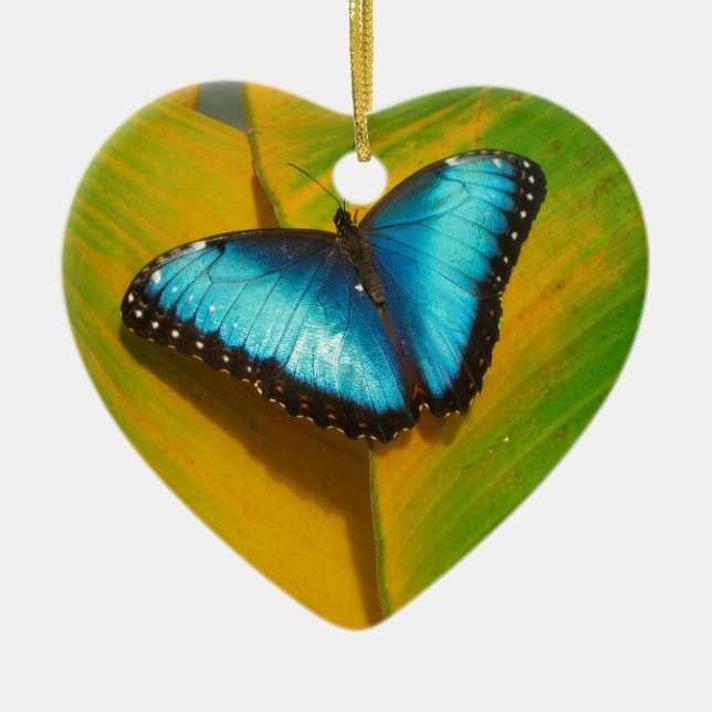 Schöne, iridescent Butterfly Keramikornament (Vorne)