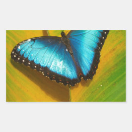 Schöne, iridescent Butterfly Rechteckiger Aufkleber