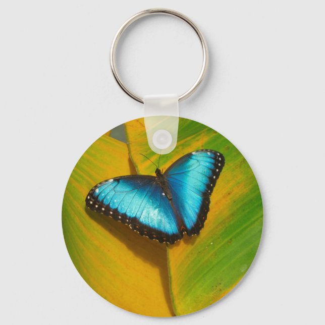 Schöne, iridescent Butterfly Schlüsselanhänger (Vorderseite)