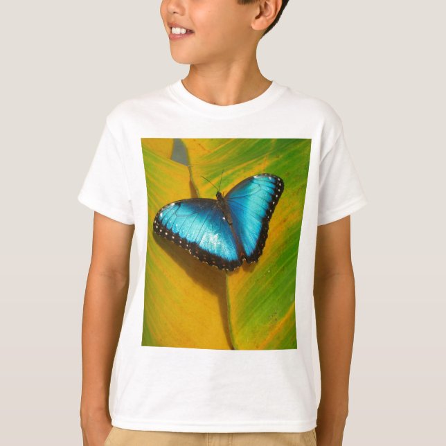 Schöne, iridescent Butterfly T-Shirt (Vorderseite)