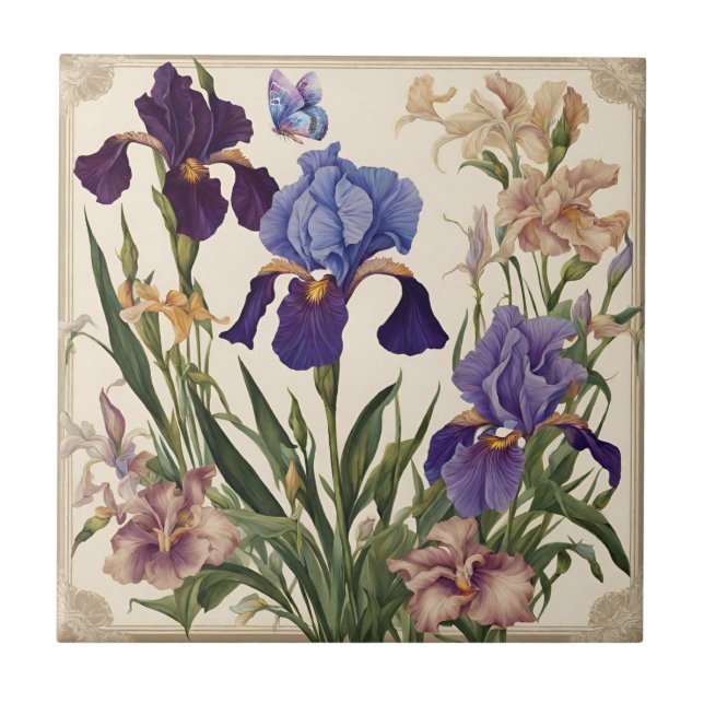 Schöne Iris Blume Blooms Fliese (Vorderseite)