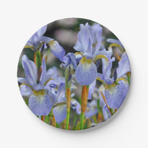 Schöne Iris-Blume Pappteller