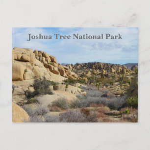 Schöne Joshua Tree Postcard! Postkarte