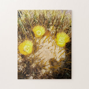 Schöne Kakteen Blume