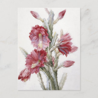 Schöne Kaktus-Blüten-Aquarell-Kunst Postkarte