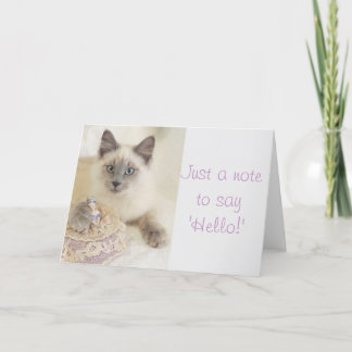 Schöne Katze gerade eine Anmerkung, zum hallo der Karte