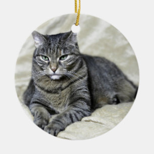 Schöne Katze liegt Keramik Ornament