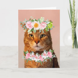 Schöne Katze MEOWVELOUS Geburtstag Karte