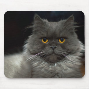 Schöne Katze Mousepad