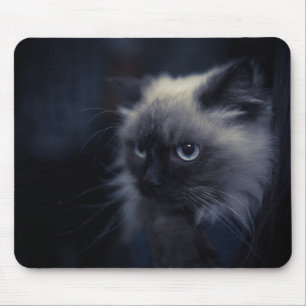 Schöne Katze Mousepad