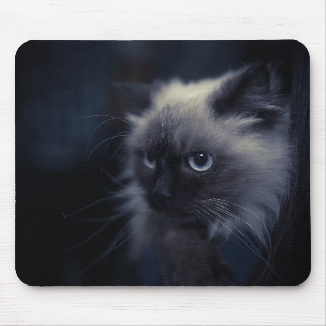 Schöne Katze Mousepad (Vorne)
