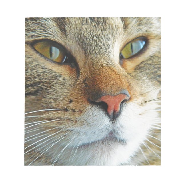 Schöne Katze Notizblock (Vorderseite)