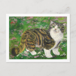 schöne Katze Postkarte