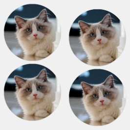 Schöne Katzen-Labels Etiketten