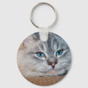 Schöne katzenblaue Augen Schlüsselanhänger