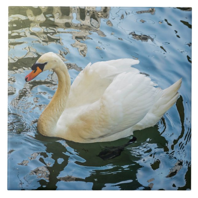 Schöne Keramik mit weißem Schwan Fliese (Vorderseite)