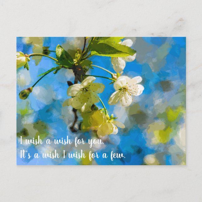 Schöne Kirschblüten Postkarte (Vorderseite)