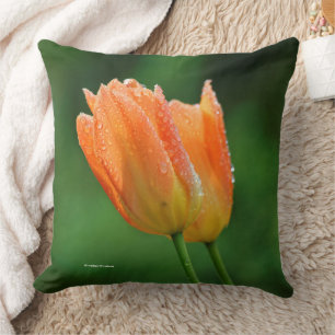Schöne, kissed Pastel Orange Tulips Kissen