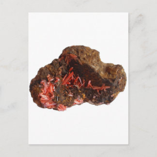 Schöne krokoite Kristalle ! Postkarte