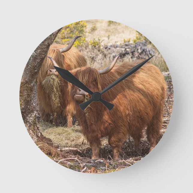 Schöne Kühe aus Hochland Runde Wanduhr (Vorderseite)